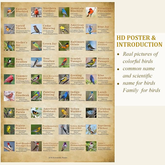 Vintage Bird Puzzles for Adults 1000 Pieces, Animal Hummingbird Puzzle of 36 Colorful Birds in North America, Bird Jigsaw Puzzles Nature