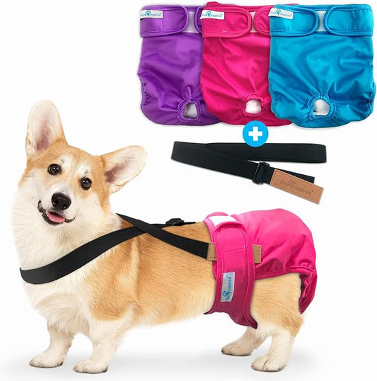 Paw Inspired Reusable Dog Diapers Bundle, Medium, 3-Pack with Suspenders | Washable Diapers in Assorted Colors with White Lining Combo Pack with Black Suspenders