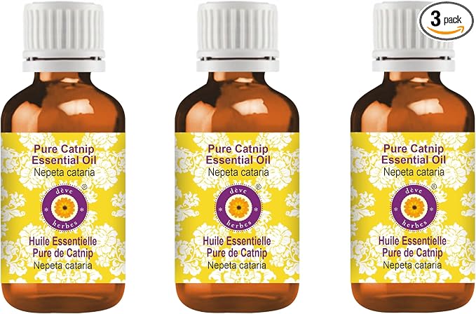 dève herbes Pure Catnip Essential Oil (Nepeta cataria) Steam Distilled (Pack of Three) 100ml X 3 (10 oz)