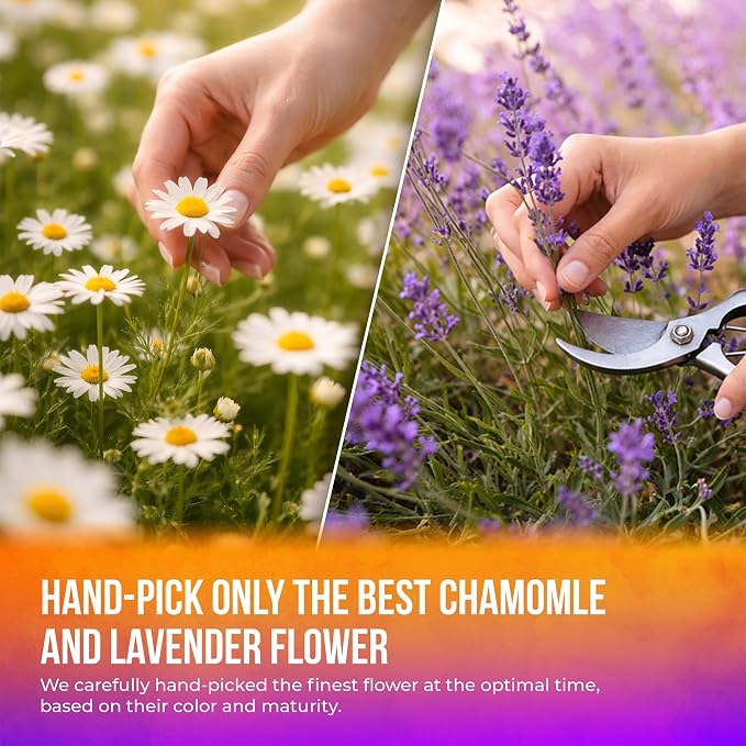 FreshDrinkUS, Premium 60 Chamomile Lavender Tea Bags, Calming Herbal Blend Strong Support for Relaxation & Better Sleep | Naturally Caffeine-Free Bedtime Tea with Soothing Floral Aroma, 100% Natural, Hand-made No Sugar/ Caffeine/ Gluten, Vegan