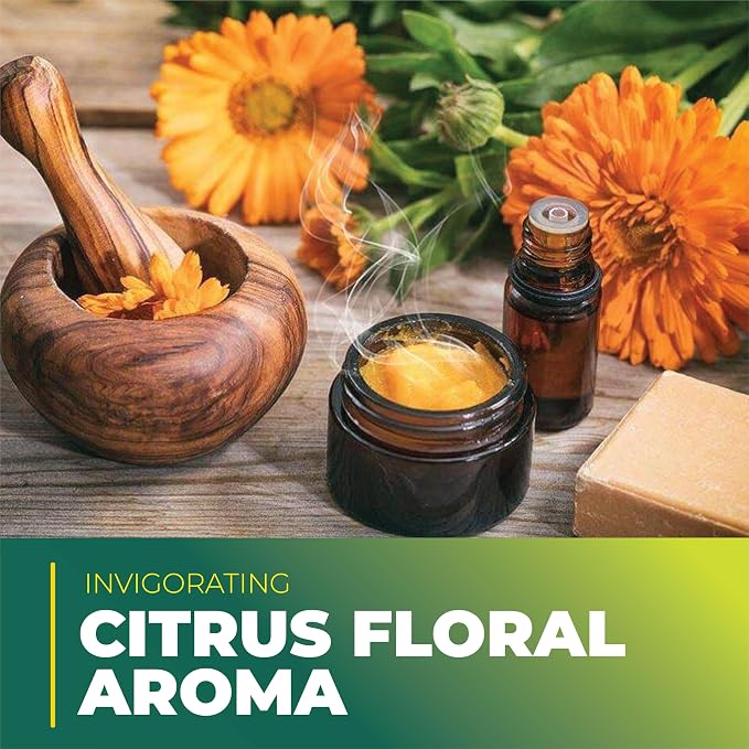 Tagetes Essential Oil – 100% Pure Steam Distilled from Tagetes minuta Flowers | Sweet, Citrusy Aromatherapy Oil for Relaxation & Massage | Top Note | Natural & Undiluted | India | 1 Fl Oz