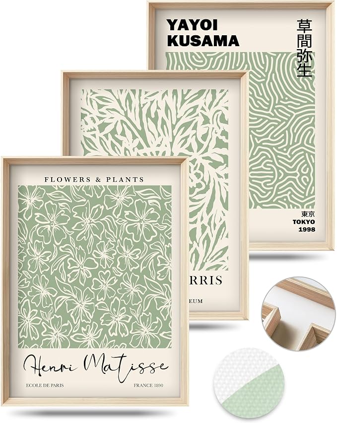 HesenDot Framed Wall Art Set of 3, Sage Green Botanical Wall Decor | 12x16IN High Framed Design Canvas Prints, Matisse Inspired Minimalist Art for Living Room Bedroom Bathroom