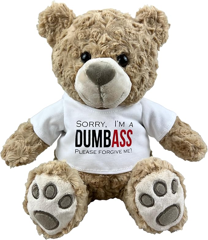 I’m Sorry Teddy Bear 10” Sitting | I Love You Im Sorry Plushie | Im Sorry Gifts for Her Stuffed Animal