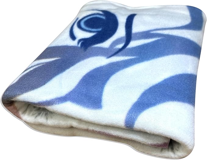 Official License Character Girls Pink Fleece Soft and Cozy Throw Blanket (40" x 60) (Frozen12)