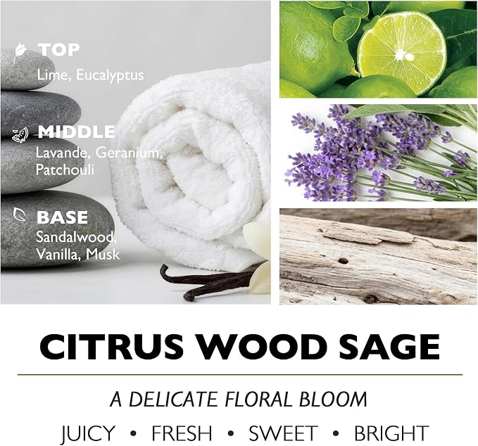 HomeLights Citrus Wood Sage Scented Candles | 34oz Soy Candles Eclectic Mixed Styles 3-Wick Large Candle Jars | Ideal Candle Gifts for Events, Home Decor Stress, Relief & Relaxation