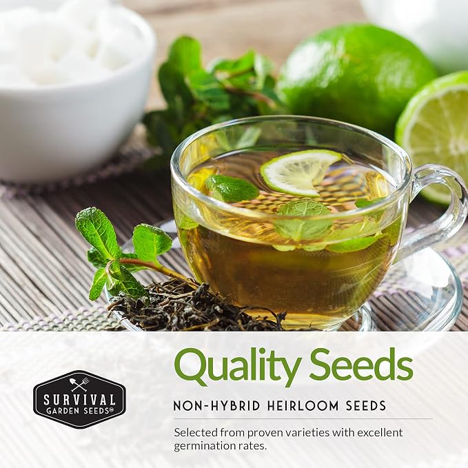 Medicinal Tea Herb Seeds for Planting | 9 Varieties - Survival Garden Seeds | Grow Herbal Teas, Natural Remedies – Home Apothecary Garden Kit – Heirloom, Non-GMO Herbs