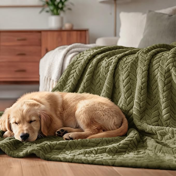 Exclusivo Mezcla Soft Fleece Bed Blanket Queen Size, 90”x90”, Olive Green | Cozy Fluffy Lightweight Blankets for Summer, Decorative Plush Flannel Throws for Living room, Bedroom with Leaves Pattern