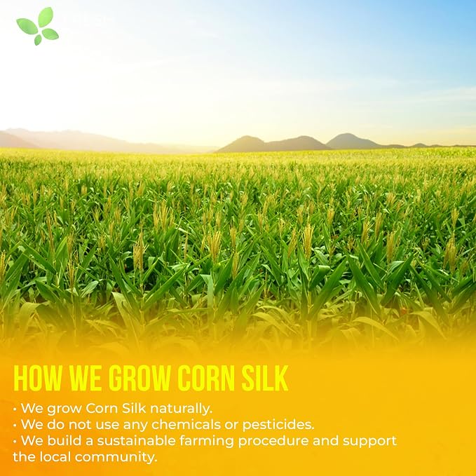 FreshDrinkUS, Premium 10 Tea Bags Corn Silk Tea, 100% Natural & Pure from Corn Silk. Herbal Tea. Clean Ingredients. Made with Natural Material Tea Bags. No Sugar, No Caffeine, Vegan.