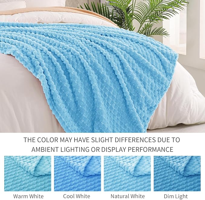 Exclusivo Mezcla 3D Fleece Queen Size Blanket for Bed, Blue | Extra Soft Fuzzy Plush Lightweight Bed Blankets, Cozy Fluffy Decorative Blankets for All Seasons, 90x90 Inches