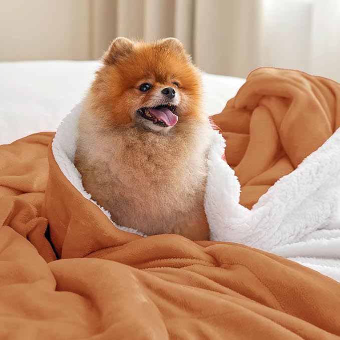 Bedsure GentleSoft Sherpa Fleece Throw Blanket for Couch, Non-Heated, Thick and Warm Throw for Women and Men, Soft Fuzzy Plush Blanket for Winter, Burnt Orange, 50x60 Inches