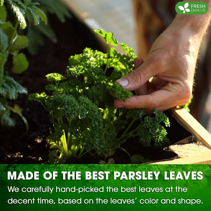 Premium 135 Parsley Leaf Tea Bags, 100% Natural & Pure from Parsley Leaves. Loose Leaf Parsley Herbal Tea. Parsley Leaf Tea. Made with Natural Material Tea Bags. No Sugar, No Caffeine, No Gluten, Vegan.