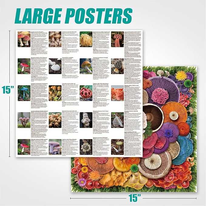 Antelope - 1000 Piece Puzzle for Adults, Mushroom - Jigsaw Puzzles 1000 Pieces, High Resolution, Matte Finish, No Dust