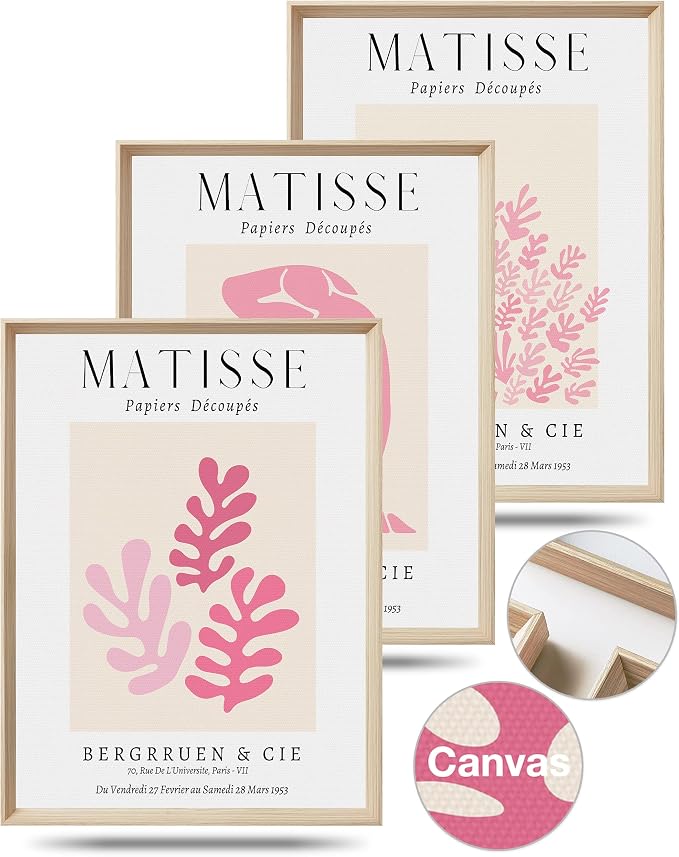 Matisse Pink Framed Wall Art Set of 3, Abstract Canvas Prints | 12x16in High-Framed Design, Matisse-Inspired Artwork, Pink Minimalist Wall Decor for Living Room Bedroom Bathroom