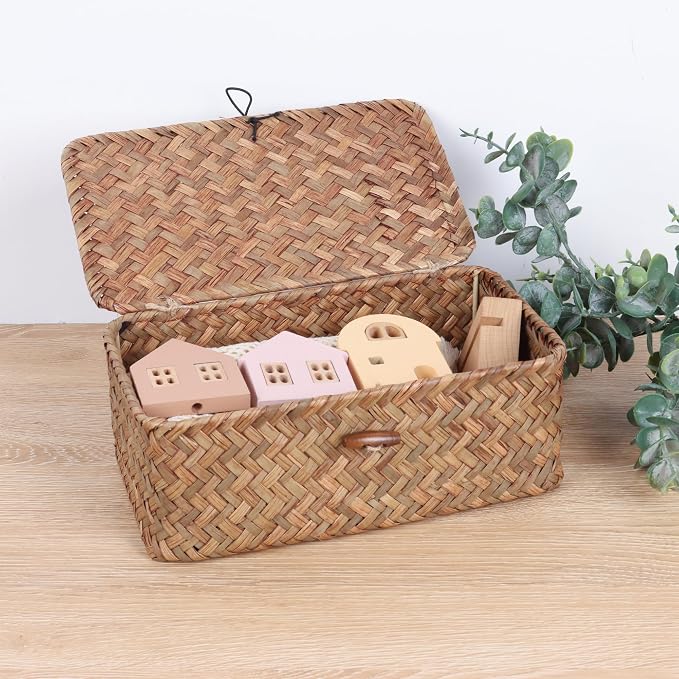 FEIALNDUO Wicker Shelf Baskets with Lid,Seagrass Storage Basket Bins Rectangular Handwoven Basket Boxes for Shelves Desktop Home Organizer (Coffee, X-Small)