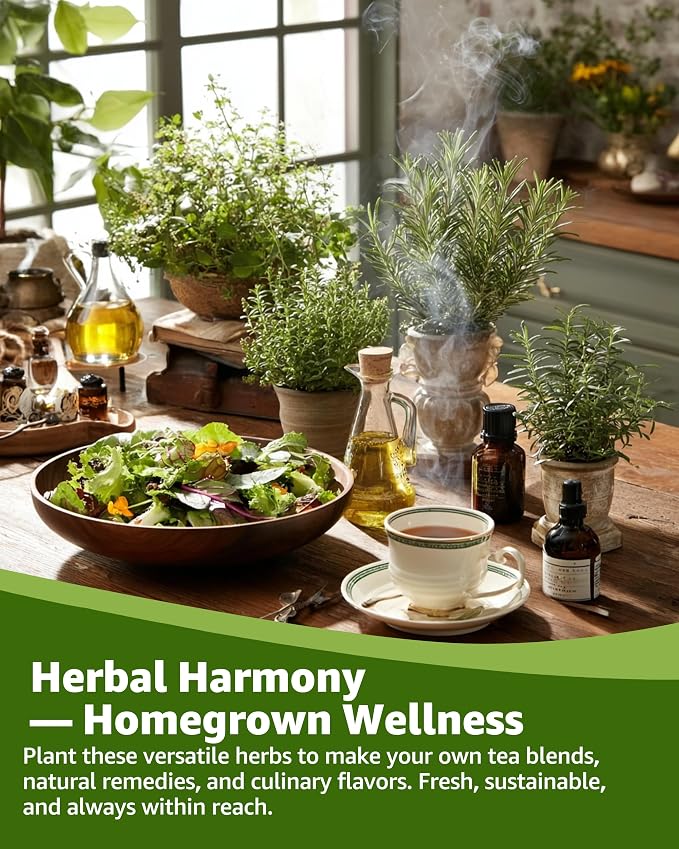 Medicinal & Tea Herb Seeds for Planting - 35 Non-GMO Variety Pack for Indoor/Outdoor Garden: Anise, Bergamot, Borage, Fennel, Chamomile, Dandelion, Oregano, Hyssop, Catnip Seeds & More