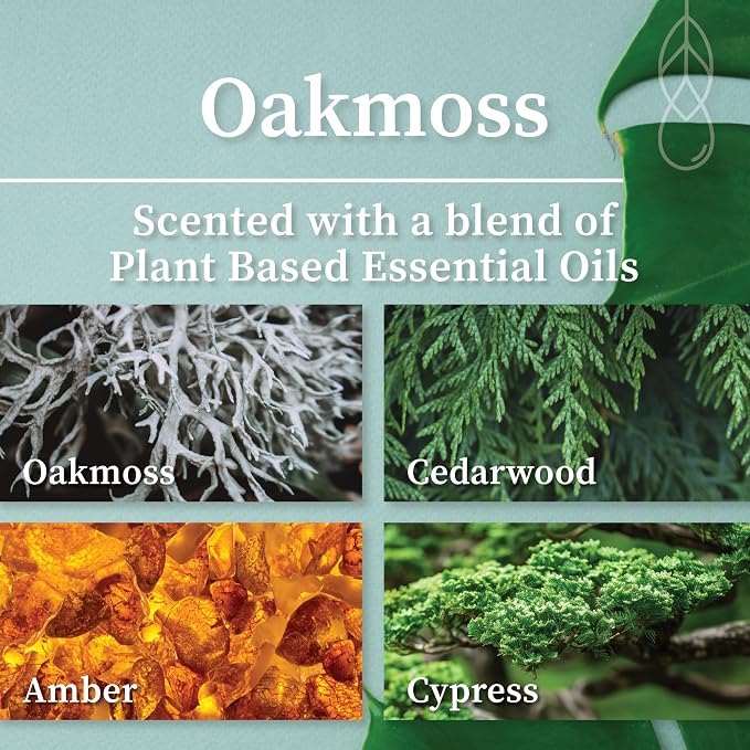 Hemlock Park Oakmoss Apothecary Hand-Poured Scented Candle | Crackling Wood Wick, Botanical Fragrance & Coconut Wax | Up to 40 Hour Burn Time | 4 oz