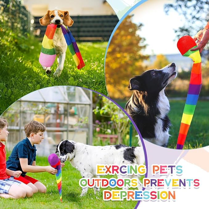 Leyndo 12 Pcs 26 Inch Throw and Catch Balls with Rainbow Tail, Soft Sports Play Comet Balls Playground Toys Bulk for Kids Adults Games and Activities Fun Throwing School (Vivid)