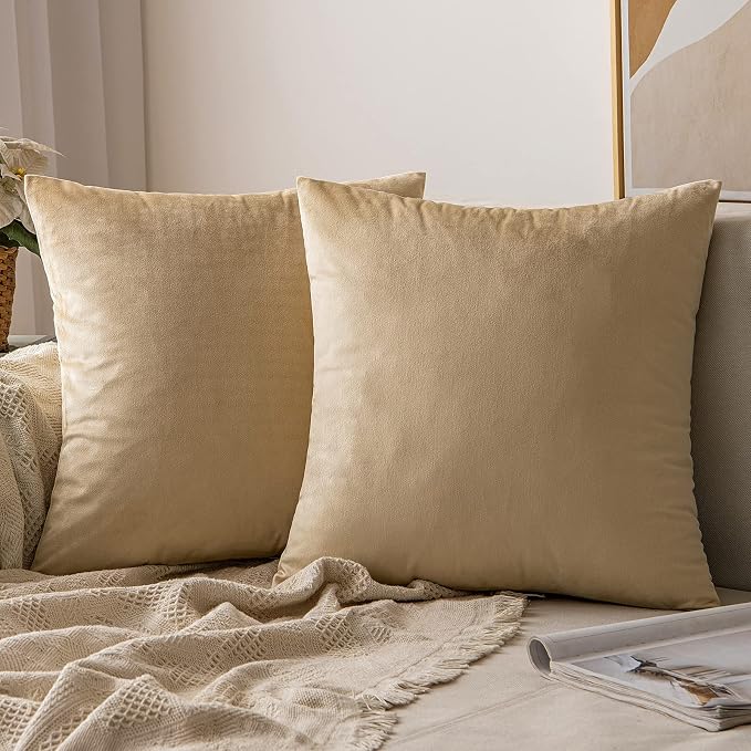 MIULEE Velvet Throw Pillow Covers 16x16 Inch Pack of 2 Beige | Soft Solid Small Decorative Pillow Covers, Modern Luxury Home Decor, for Couch Chair Sofa Bedroom Livingroom Car