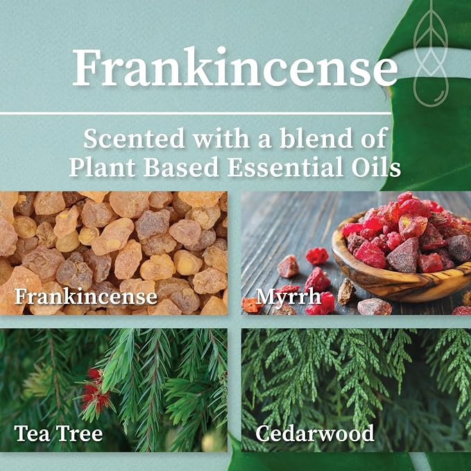 Hemlock Park Frankincense Apothecary Scented Candle | Crackling Wood Wick, Botanical Fragrance & Coconut Apricot Wax | Up to 80 Hour Burn Time | 16 oz | Made in USA