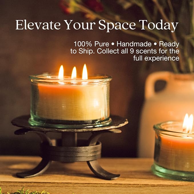 Bluecorn Botanica Beeswax 3-Wick Candle – Spruce, 100% Pure Beeswax & Essential Oils – 10oz Hand-Blown Recycled Spanish Glass – Non Toxic, Clean Burning, Refillable Glass Jar