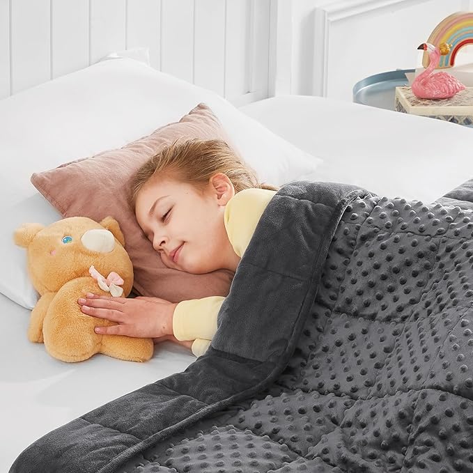 Weighted Blanket - 10 lbs Grey Minky Heavy Blanket - Small Size Breathable Lap Blanket(41"x60", 10 lbs)