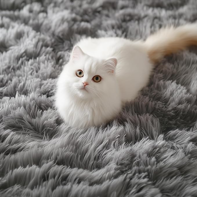 PAGISOFE 2x4 Small Bedroom Rug, Washable Runner Rugs for Hallway, Soft Plush Area Rug for Dorm, Kids Room, Reading Nook,Fuzzy Playroom Carpet, Furry Bedside Rug, Accent Faux Furry Grey Rugs