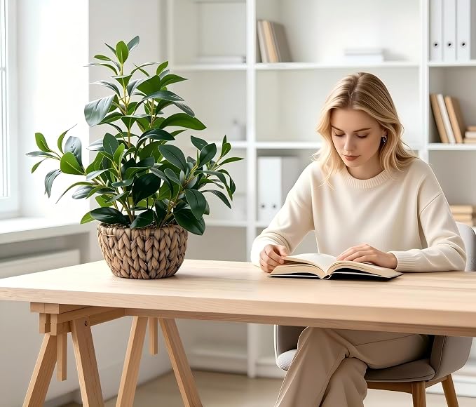 AlphaAcc Fake Indoor Ficus Plant in Rattan Basket Planter Home Office Decor | Realistic 18.8“ faux ficus plant in woven rattan basket with pebbles ideal home living room office table desk shelf decor