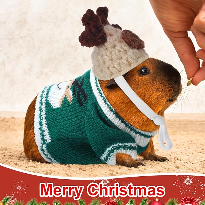 10 Pcs Guinea Pig Clothes, 5 Guinea Pig Costume Outfit, 5 Mini Hat with Adjustable Strap Small Animal Warm Vest Sweater Cozy Hand Knitted Hat for Hamster Bunny(Classic)