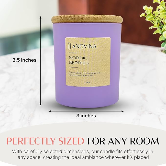 Anovina Nordic Berries Scented Candle — Fruity Berry & Sweet Musk Soy Blend | Long Lasting Jar Candle for Home | Nordic Gifts & Berry Scented Candles | Hand Poured in USA