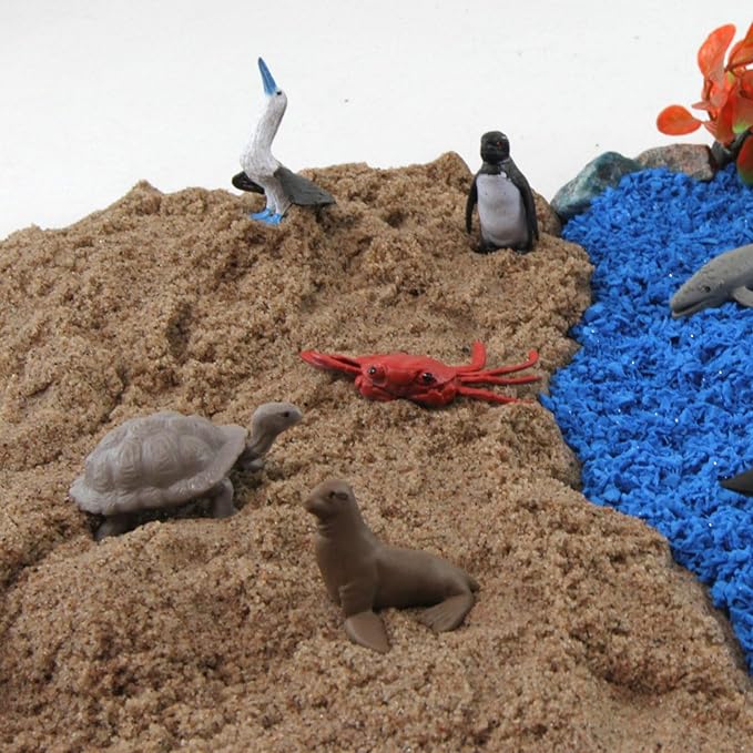 Safari Ltd. Pacific TOOB - 10 Miniature Marine Animal Figures - Educational Toy Set for Boys, Girls, and Kids Ages 3+