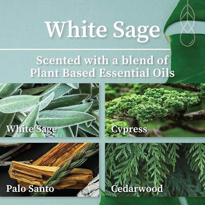 Hemlock Park White Sage Apothecary Scented Candle | Crackling Wood Wick, Botanical Fragrance & Coconut Apricot Wax | Up to 60 Hour Burn Time | 8 oz | Made in USA
