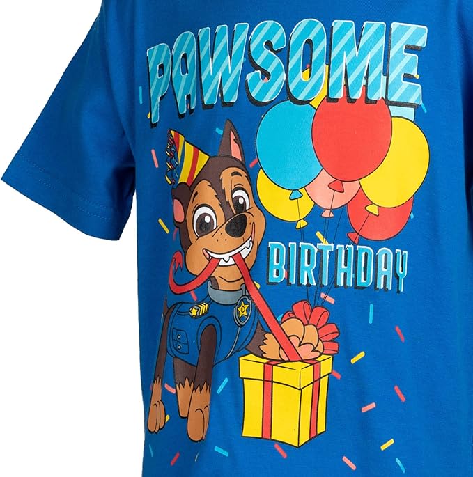 Paw Patrol Birthday T-Shirt Toddler to Little Kid Sizes (2T - 7-8)