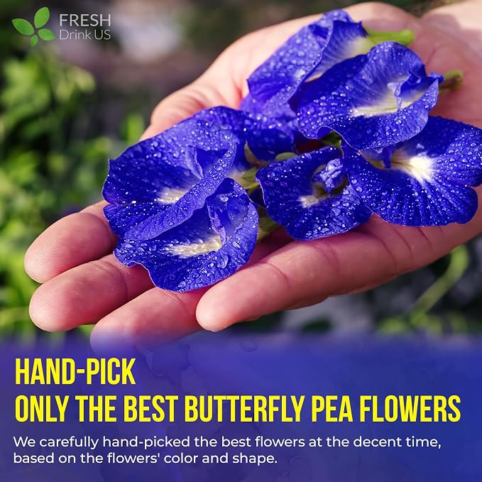 FreshDrinkUS, Premium 75 Tea Bags Blue Butterfly Pea Flowers, 100% Natural and Pure from Butterfly Pea Flowers, Made With Natural Material Tea Bag, No Sugar, No Caffeine, No Gluten, Vegan