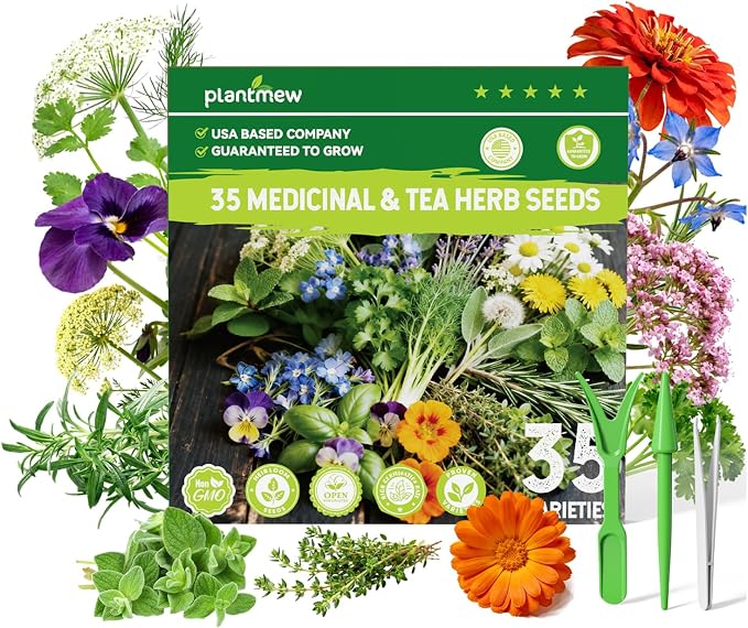 Medicinal & Tea Herb Seeds for Planting - 35 Non-GMO Variety Pack for Indoor/Outdoor Garden: Anise, Bergamot, Borage, Fennel, Chamomile, Dandelion, Oregano, Hyssop, Catnip Seeds & More
