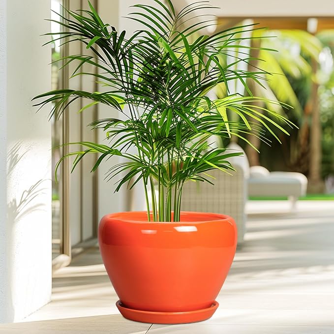 Ceramicfor Ceramic Pot for Plants - 10 Inch Plant Pot with Drainage Hole and Saucer, Modern Round Glaze Planter for Indoor Outdoor Plants, Plant Lover Gifts, Home Garden Office Decor, Orange