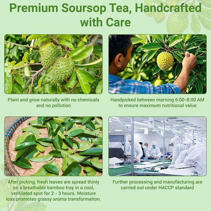 Solisleaf Teabags (Soursop Tea)