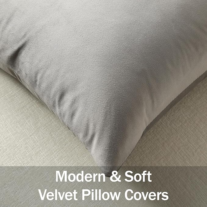 Throw Pillow Covers 16x16 Light-Grey: Pack of 2 Cozy Soft Velvet Square Modern Luxury Decorative Throw Pillow Cases for Sofa Couch Living Room Bed Home Decor