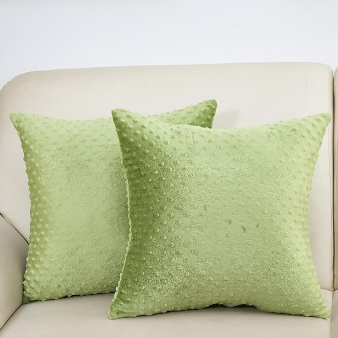 Water Resistant Polyester Pillow Inserts with Plush Dot Cover | Pack of 2 Square Form Indoor Decorative Pillow, Bed and Couch Pillows, 20 x 20 Inches, Sage