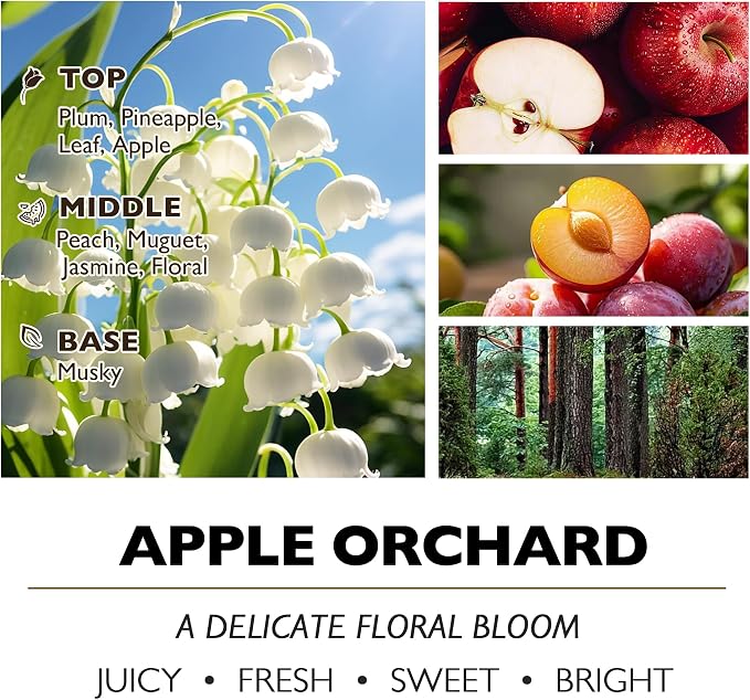 HomeLights Soy Wax Candles for Home Scented, 4-Wick Candles in Apple Orchard Scented, Aromatherapy Candles Gift for Parties, Relaxing, Eclectic Mixed Styles, 18oz