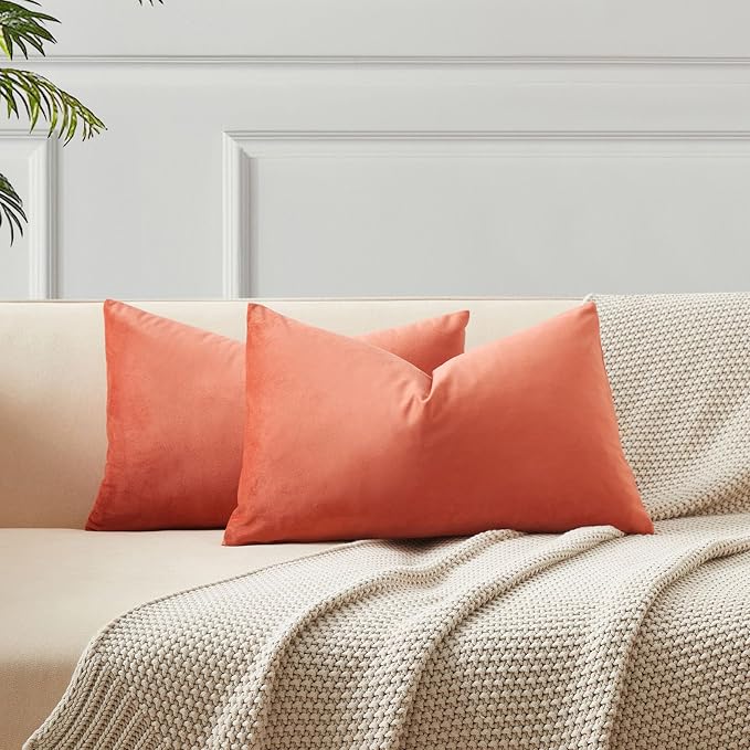 16x24 Pillow Covers Set of 2 Decorative Velvet Throw Pillow Covers,Apricot | Luxury Soft Cushion Covers with Invisible Zipper for Couch Sofa Bed Living Room Bedroom Home Decor