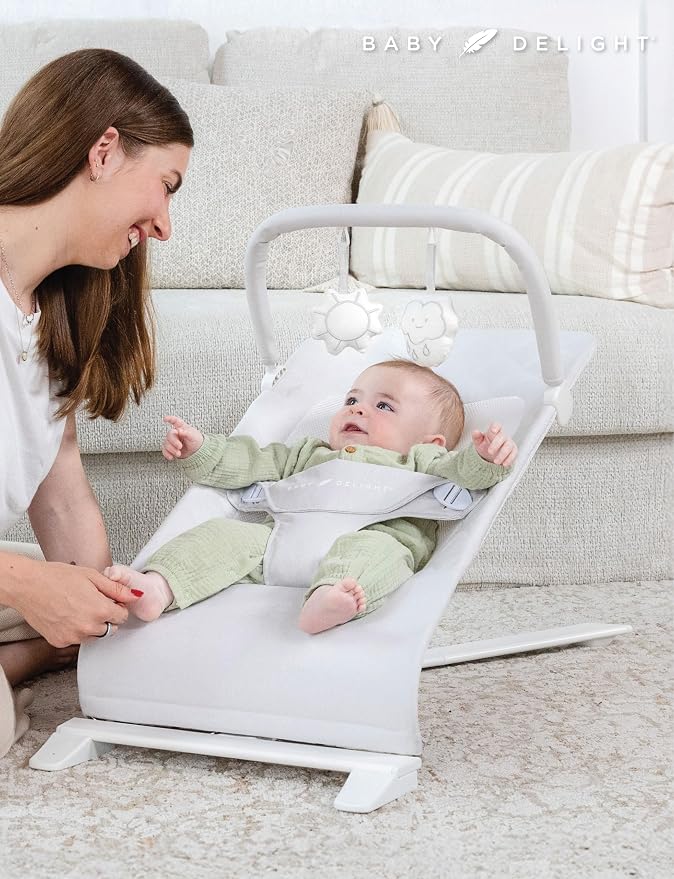 Baby Delight Alpine Deluxe Portable Bouncer | Infant | 0 – 6 Months | Driftwood Grey