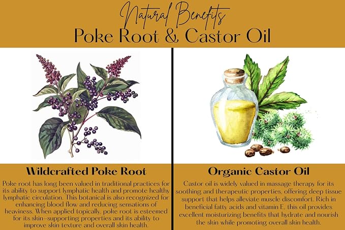 Organic Poke Root Castor Oil | Vegan Lymphatic Support | Cysts, Boils, Fibroids, Swollen Lymph Nodes, Breast & Joint | Natural Deep Tissue Massage | Made in The USA (2 Fl Oz (Pack of 1), Unscented)