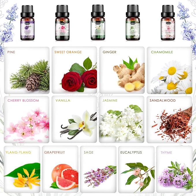 Essential Oils Set, Aromatherapy Essential Oil Kit for Diffuser, Massage, Skin Care (26 x 5ml) - Eucalyptus, Lavender, Tea Tree, Peppermint, Lemongrass, Frankincense, Cinnamon, Sandalwood