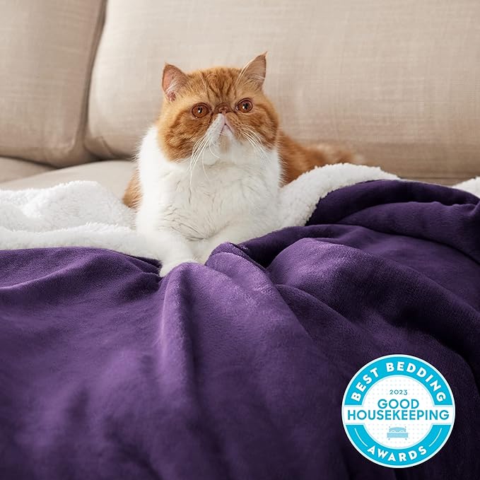 Bedsure GentleSoft Sherpa Fleece Blanket Queen Size for Bed, Non-Heated, Thick and Warm Throw Gifts for Women and Girls, Soft Fuzzy Plush Queen Blanket for Winter, Purple, 90x90 Inches