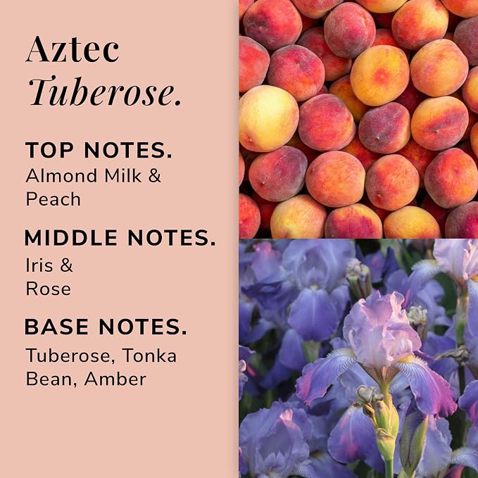 Osmology Aztec Tuberose Aromatherapy Candle – Peach, Almond Milk & Tuberose Scented Candle, Plant-Based Wax in Amber Apothecary Jar, 7 oz, 50 Hour Burn Time, Floral & Sweet Candle