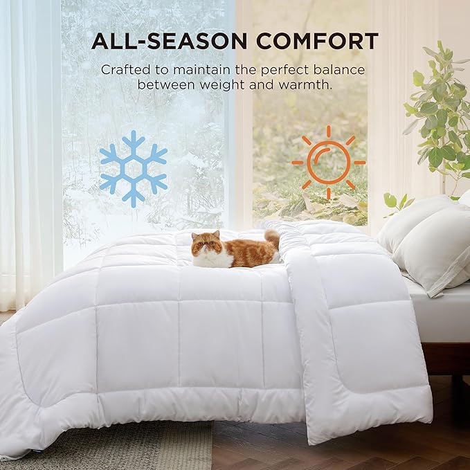 Bedsure Comforter Duvet Insert - Quilted Comforters Queen Plus Size, All Season Duvet, GentleSoft Down Alternative Bedding Blanket, with 8 Tabs, Gifts for Women/Men,White,Queen Plus 90 x 90 Inches