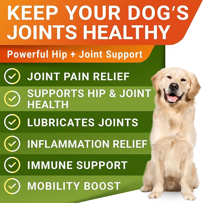 Large Breed Hemp + Glucosamine Dog Joint Supplement - Hemp Chews for Dogs Hip Joint Pain Relief - Omega 3, Chondroitin, MSM - Advanced Mobility Hemp Oil Treats for Large Dogs - Made in USA - 240 Ct