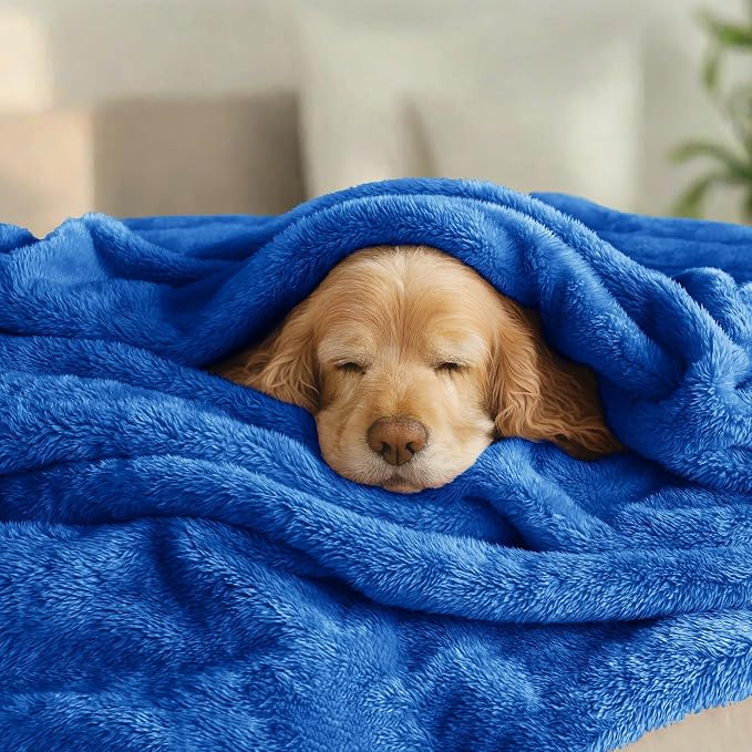 Exclusivo Mezcla Fuzzy Plush Fleece Bed Blanket Queen Size, Cobalt Blue | 90x90 Inches, Super Soft and Cozy Bed Blanket, Fluffy Decorative Bedding for Livingroom, Bedroom, All Season
