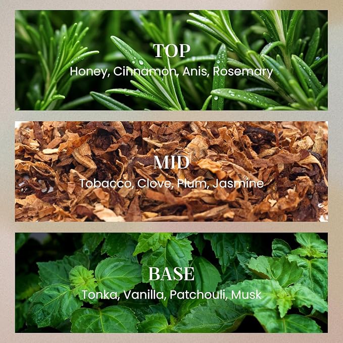 M&SENSE Tobacco Vanilla Candles for Home Scented, 2 Wick 12.7oz Soy Wax Candles 70 Hours Long Burning,Non Toxic Candles Gift for Stress Relief, Meditation, Yoga
