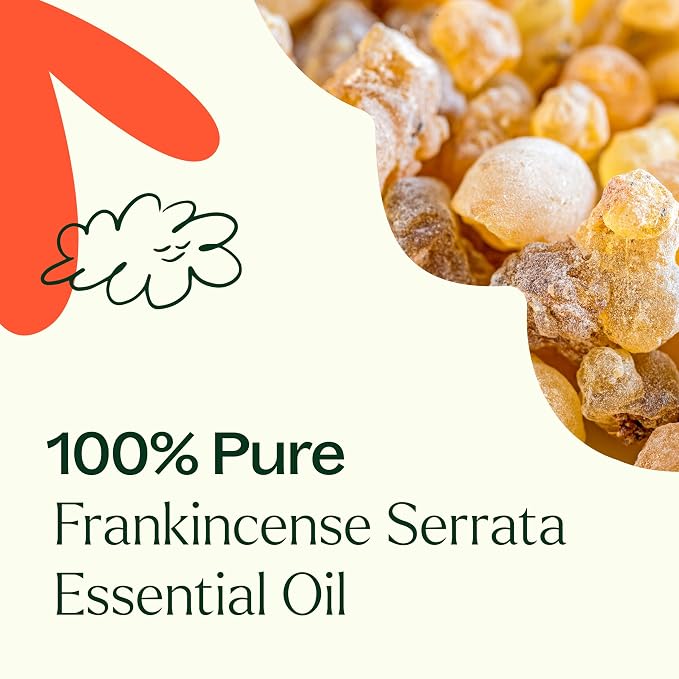 Plant Therapy Frankincense Serrata Essential Oil 100 mL (3.3 oz) 100% Pure, Undiluted, Grounding Aromatherapy and Soothing Skin Care